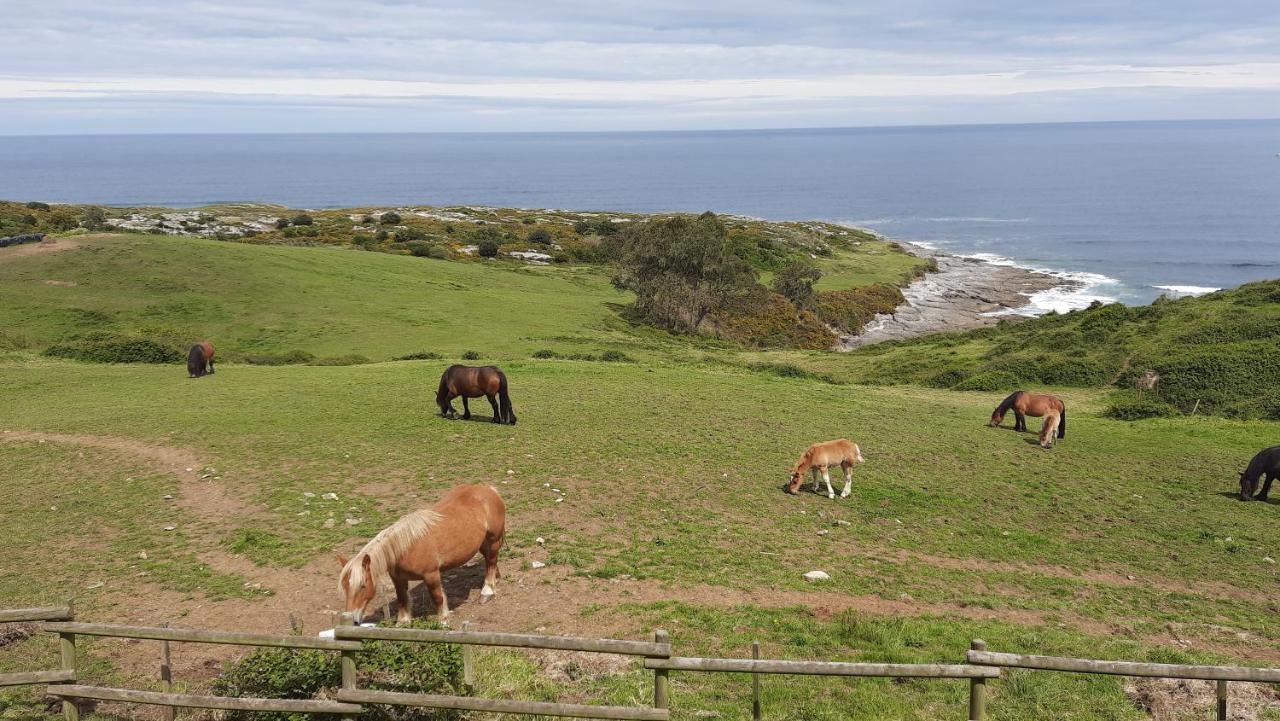 Posada Punta Linera San Vicente De La Barquera Exteriér fotografie