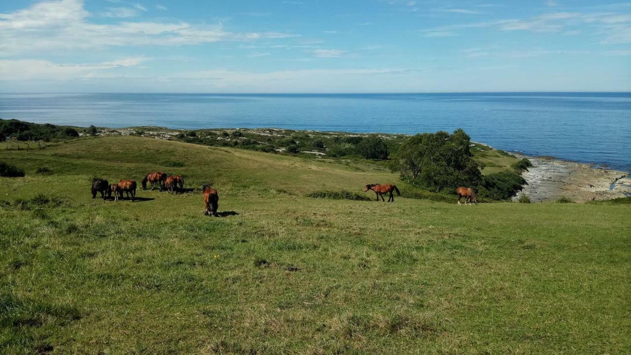 Posada Punta Linera San Vicente De La Barquera Exteriér fotografie